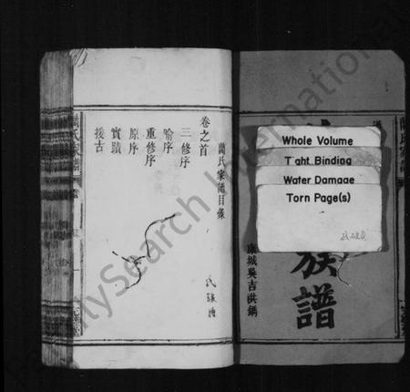 湖南蔺氏族谱-蔺氏族谱 [6卷,及卷首].pdf电子版预览图3