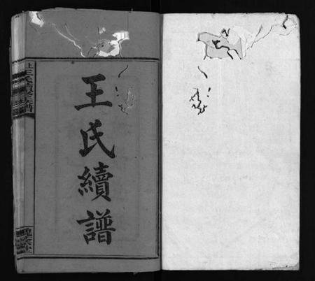 湖南刘氏族谱-上湘龙塘王氏续修族谱 [10卷].pdf电子版预览图2