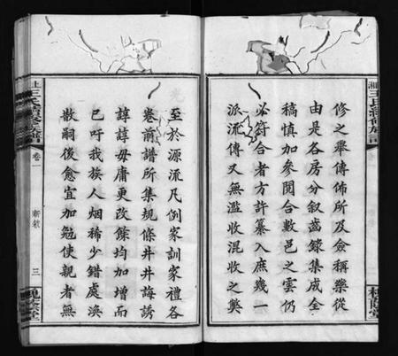 湖南刘氏族谱-上湘龙塘王氏续修族谱 [10卷].pdf电子版预览图5