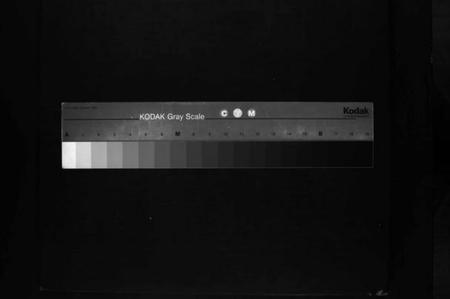 湖南刘氏族谱-中洲刘氏五修族谱 [不分卷].pdf电子版缩略图