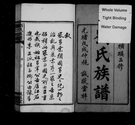湖南刘氏族谱-中湘横埧三修刘氏族谱 [8卷].pdf电子版预览图2