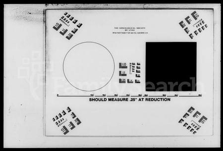 湖南刘氏族谱-刘氏九修族谱 [62卷,及卷首].pdf电子版缩略图