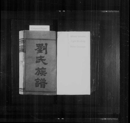 湖南刘氏族谱-刘氏八修族谱 [卷数杂异].pdf电子版预览图2