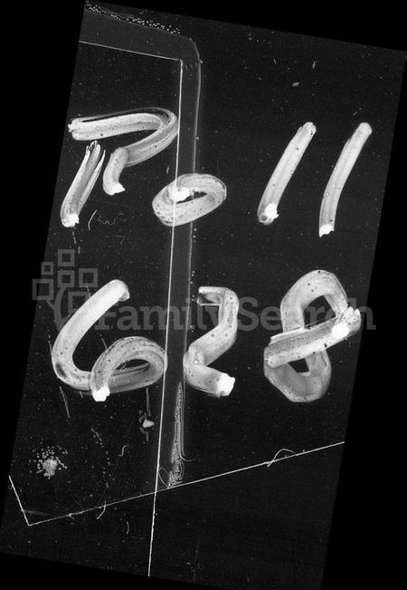 湖南刘氏族谱-刘氏六修族谱 [10卷,首1卷].pdf电子版预览图2