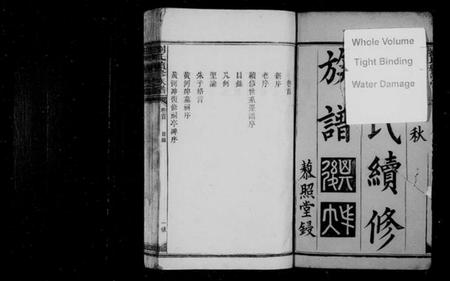 湖南刘氏族谱-刘氏续修族谱 [9卷,及卷首].pdf电子版预览图3