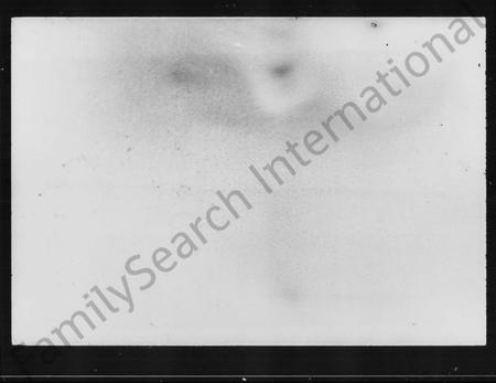 湖南刘氏族谱-衡阳新桥白沙刘氏六修族谱 [27卷,及卷首].pdf电子版预览图2