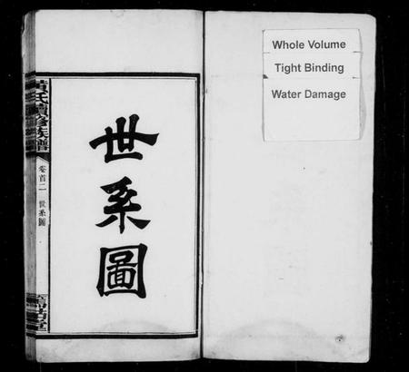 江西黄氏族谱-萍邑黄氏续修族谱 [10卷,首2卷].pdf电子版预览图2