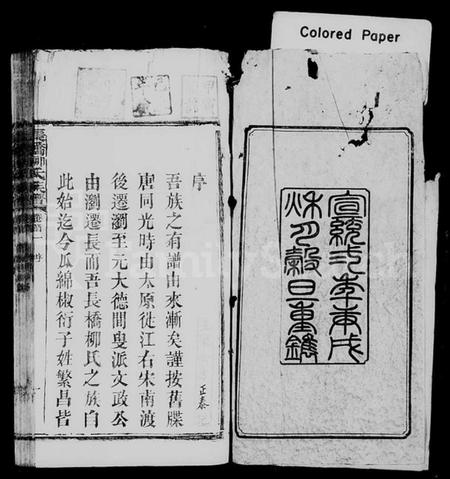 湖南柳氏族谱-柳氏族谱 [27卷,首3卷,末1卷].pdf电子版预览图3