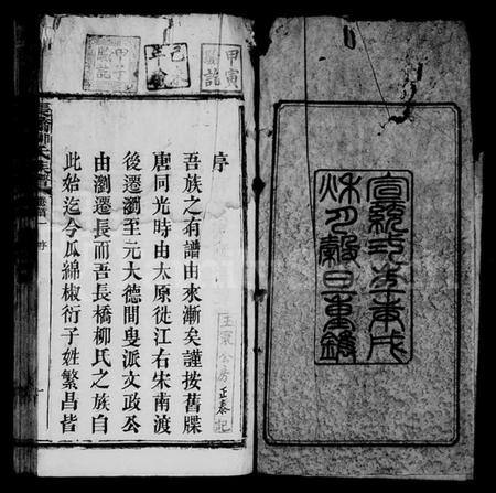 湖南柳氏族谱-柳氏族谱 [27卷,首3卷,末1卷].pdf电子版预览图5