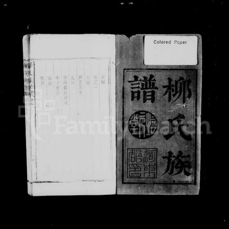 湖南柳氏族谱-柳氏族谱 [不分卷].pdf电子版预览图2