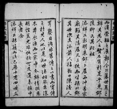 湖南柳氏族谱-柳氏族谱 [不分卷].pdf电子版预览图5