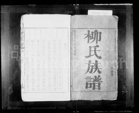 湖南柳氏族谱-柳氏重修族谱.pdf电子版预览图1