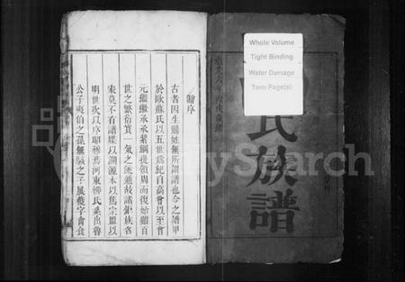 湖南柳氏族谱-柳氏重修族谱.pdf电子版预览图2
