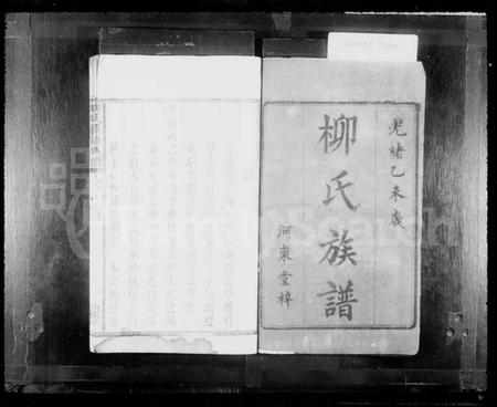 湖南柳氏族谱-柳氏重修族谱.pdf电子版预览图2