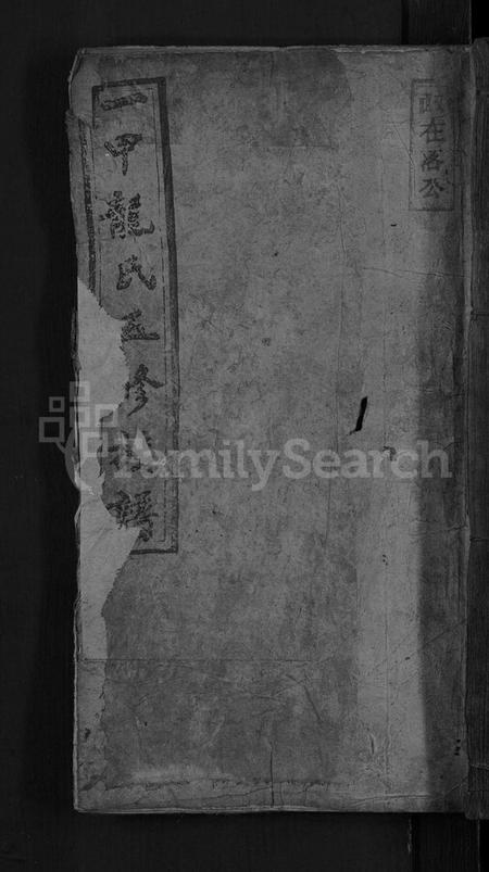 湖南龙氏族谱-一甲龙氏五修族谱 [14卷首3卷].pdf电子版缩略图