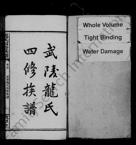 湖南龙氏族谱-武陵龙氏四修族谱 [13卷,首1卷].pdf电子版预览图2