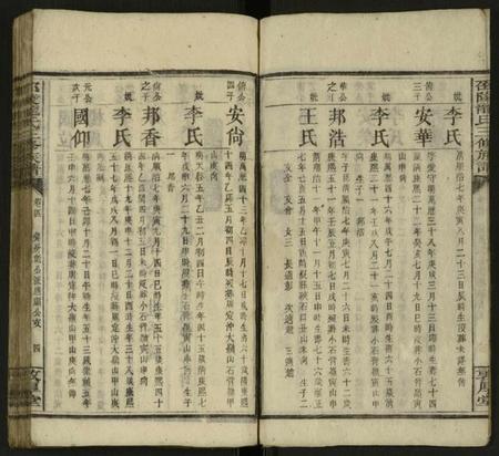 湖南龙氏族谱-邵陵龙氏三修族谱 [残卷].pdf电子版预览图3