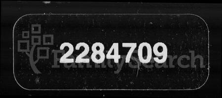 湖南龙氏族谱-龙氏二修族谱 [36卷].pdf电子版缩略图