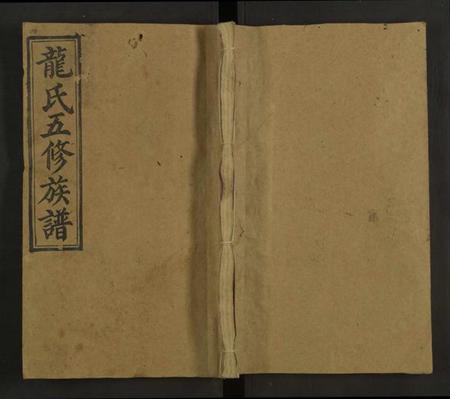 湖南龙氏族谱-龙氏五修族谱 [22卷,首2卷].pdf电子版缩略图