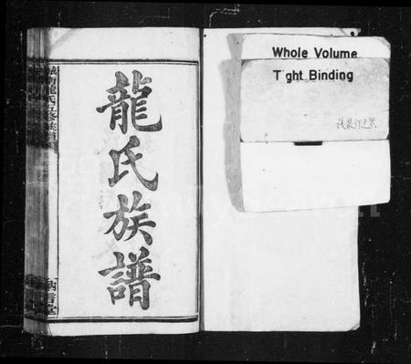 湖南龙氏族谱-龙氏族谱 [32卷,首5卷].pdf电子版预览图2