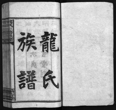 湖南龙氏族谱-龙纳言堂族谱 [22卷,首1卷,附2卷].pdf电子版预览图2