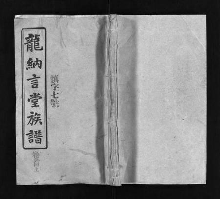 湖南龙氏族谱-龙纳言堂族谱 [22卷,首2卷].pdf电子版预览图1