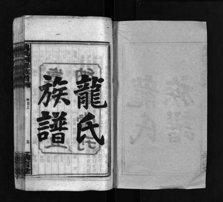 湖南龙氏族谱-龙纳言堂族谱 [22卷,首2卷].pdf电子版预览图2