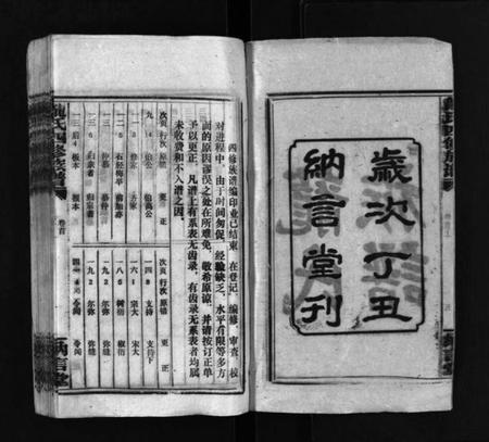 湖南龙氏族谱-龙纳言堂族谱 [22卷,首2卷].pdf电子版预览图3