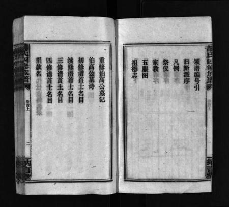 湖南龙氏族谱-龙纳言堂族谱 [22卷,首2卷].pdf电子版预览图5