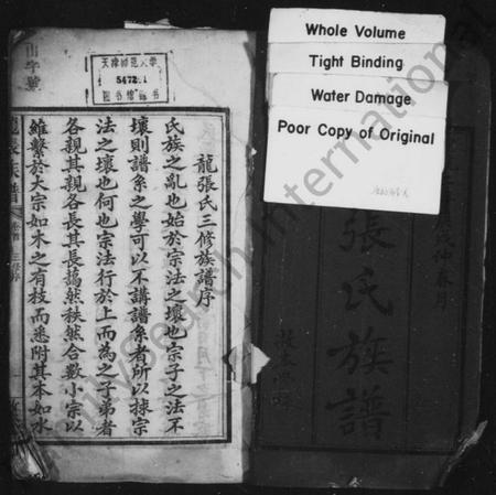 湖南龙张氏族谱-龙张氏族谱 [8卷,首未各1卷].pdf电子版预览图3