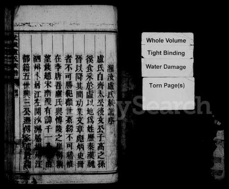 湖南卢氏族谱-汝城卢氏族谱.pdf电子版预览图3