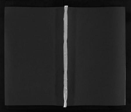 湖南卢氏族谱-卢氏续修族谱 [22卷,含首1卷].pdf电子版预览图1