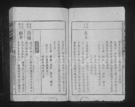 江西黄氏族谱-广昌黄氏重修族谱 [不分卷].pdf电子版预览图5