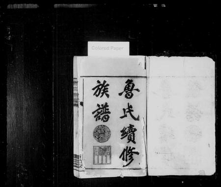 湖南鲁氏族谱-资阳鲁氏族谱 [16卷,首1卷].pdf电子版预览图2