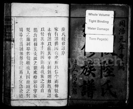 湖南陆氏族谱-陆氏续修族谱 [6卷,及卷首].pdf电子版预览图3