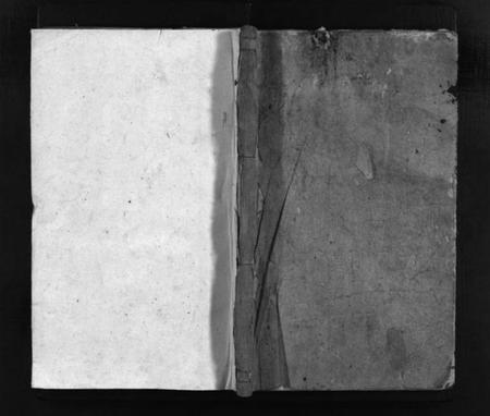 湖南罗氏族谱-彭城罗氏族谱 [16卷,首1卷].pdf电子版预览图1