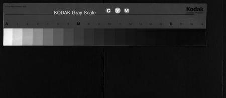 湖南罗氏族谱-漳湖岭罗氏家谱 [28卷].pdf电子版缩略图