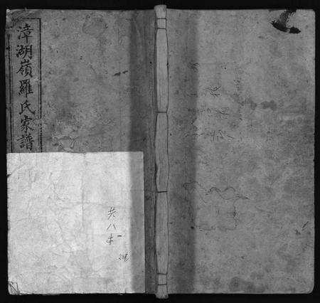 湖南罗氏族谱-漳湖岭罗氏家谱 [28卷].pdf电子版预览图1