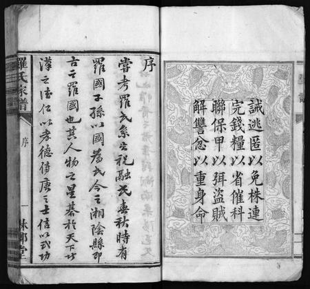 湖南罗氏族谱-漳湖岭罗氏家谱 [28卷].pdf电子版预览图5