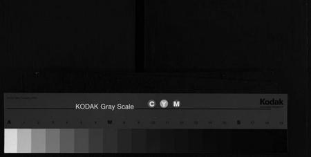 湖南罗氏族谱-甘棠罗氏六修族谱 [家派集39卷,家声集4卷,家业集2卷].pdf电子版缩略图