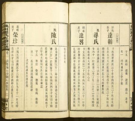 湖南罗氏族谱-秧田罗氏五修宗谱[27卷].pdf电子版预览图2