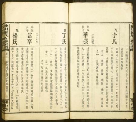 湖南罗氏族谱-秧田罗氏五修宗谱[27卷].pdf电子版预览图3