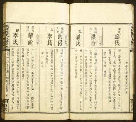 湖南罗氏族谱-秧田罗氏五修宗谱[27卷].pdf电子版预览图5