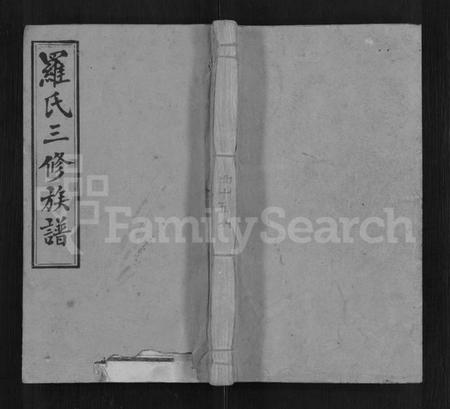 湖南罗氏族谱-罗氏三修族谱 [14卷,首2卷].pdf电子版缩略图