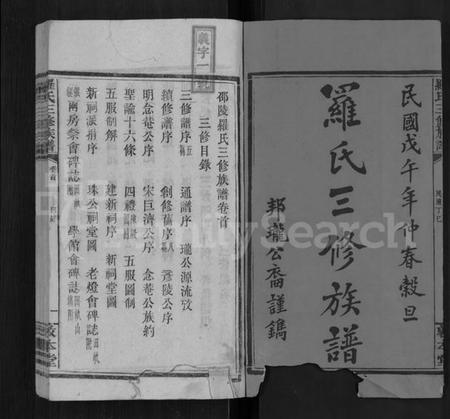 湖南罗氏族谱-罗氏三修族谱 [14卷,首2卷].pdf电子版预览图1