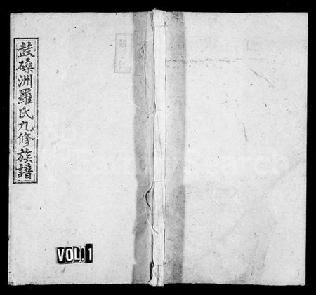 湖南罗氏族谱-罗氏九修族谱 [10卷,首末各1卷].pdf电子版预览图1