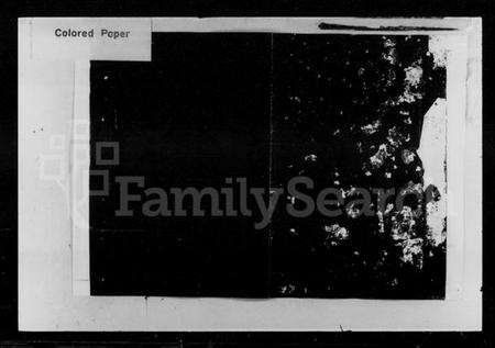 湖南罗氏族谱-罗氏九修族谱 [21卷,首5卷,末2卷].pdf电子版预览图1