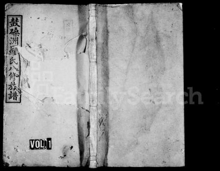 湖南罗氏族谱-罗氏八修族谱 [10卷,首末各1卷].pdf电子版预览图1