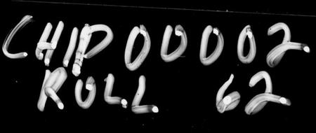 湖南罗氏族谱-罗氏八修族谱 [95卷,首3卷,末2卷].pdf电子版预览图1