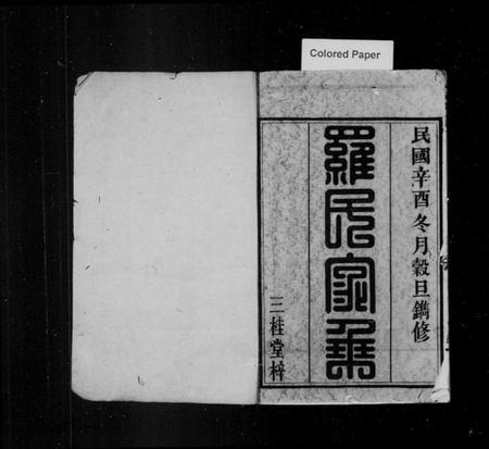 湖南罗氏族谱-罗氏六修族谱 [21卷,首1卷].pdf电子版预览图2